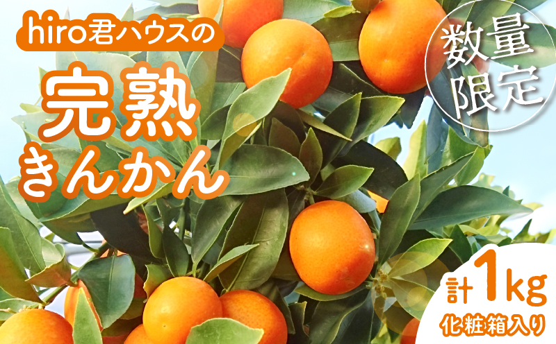 先行予約≪数量限定≫hiro君ハウスの『完熟きんかん(計1kg)』化粧箱入り フルーツ 果物 金柑 国産_T022-002