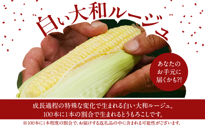 先行予約≪期間限定≫大和ルージュ＆そのでこセット(合計1.5kg以上) 野菜 加工品 国産_T003-014