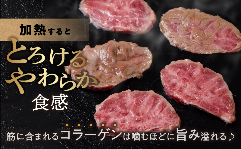 【超希少】宮崎県産黒毛和牛千本筋ブロック(計300g以上) 肉 牛 牛肉 国産_T023-015