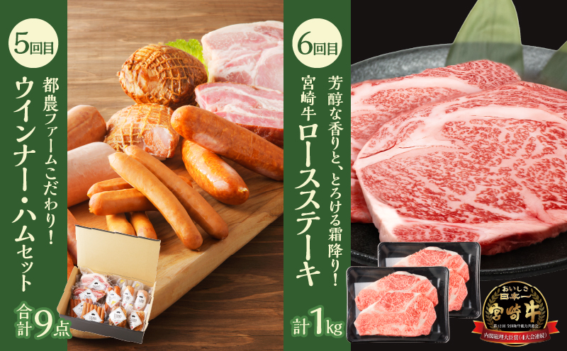 ≪6か月お楽しみ定期便≫都農町定期便(松) 肉 加工品 鰻 国産_T999-007