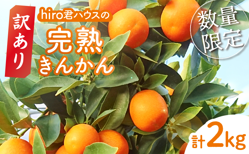 先行予約≪数量限定≫訳ありhiro君ハウスの『完熟きんかん(計2kg)』フルーツ 果物 金柑 国産_T022-003