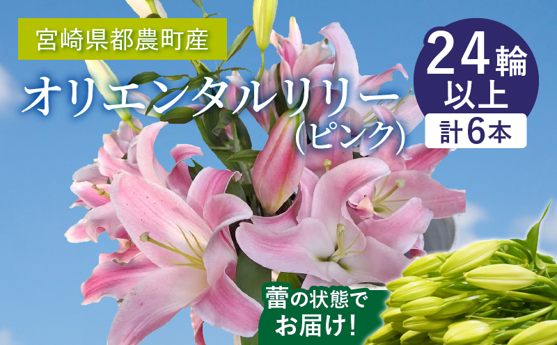 「オリエンタルリリー ユリ」(ピンク) 計6本 生花 切花 百合 国産_T045-002