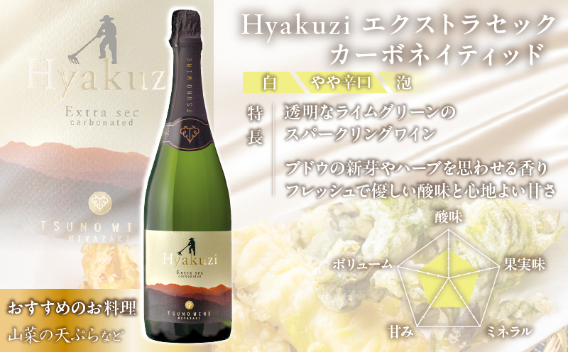 ≪数量限定≫都農ワインセレクト赤・スパークリング2本セット 酒 飲料 アルコール 国産_T014-012