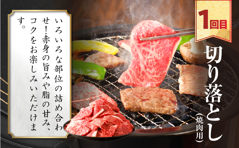 ≪3か月定期便≫夢の宮崎牛食べつくしセット(総重量3kg) 肉 牛 牛肉 おかず 国産_T030-067