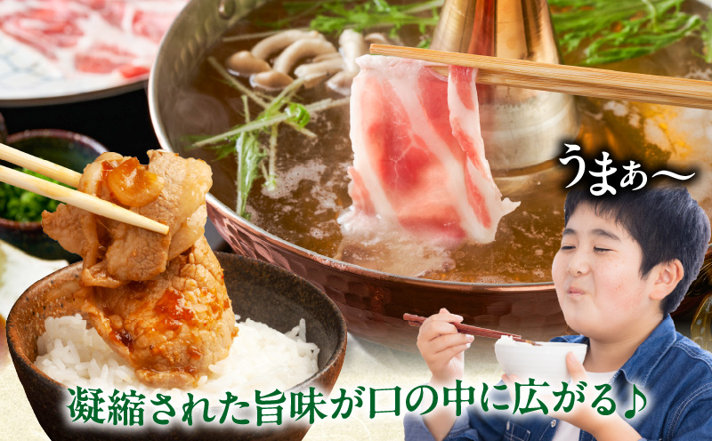 宮崎県産豚ローススライス計1.8kg 肉 豚 豚肉 おかず 国産_T009-006