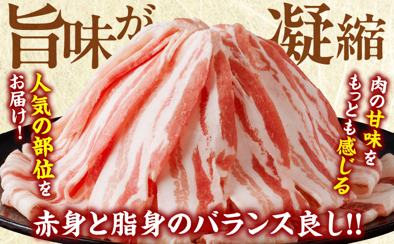 宮崎県産豚バラスライス計1kg 肉 豚 豚肉 おかず 国産_T009-011