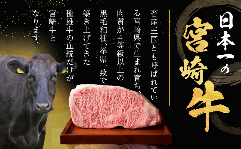 ≪肉質等級4等級以上≫宮崎牛ロースステーキ(計1kg) 肉 牛 牛肉 焼肉 国産_T030-016