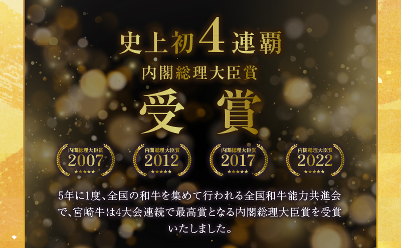 ≪定期便≫＼1か月に2回お届け!!／使い道いろいろ♪牛＆豚!!悩めるお料理セット【総重量4.5kg】 肉 牛 牛肉 国産_T030-034