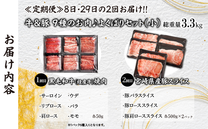 ≪定期便≫＼1か月に2回お届け!!／牛＆豚!!９種のお肉よくばりセット(小)【総重量3.3kg】 肉 牛 牛肉 おかず 国産_T030-037