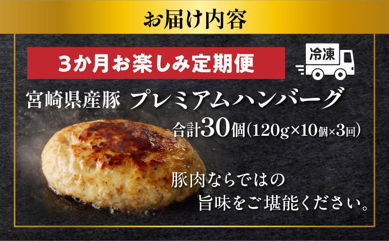 ≪3か月お楽しみ定期便≫宮崎県産豚プレミアムハンバーグ(合計30個) 肉 豚肉 加工品 国産_T001-017