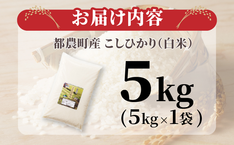 先行予約≪都農町産≫新米コシヒカリ(5kg) 米 お米 ご飯 国産_T031-001