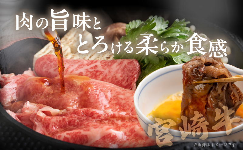 宮崎牛ローススライス(計400g) 肉 牛 牛肉 国産_T050-005