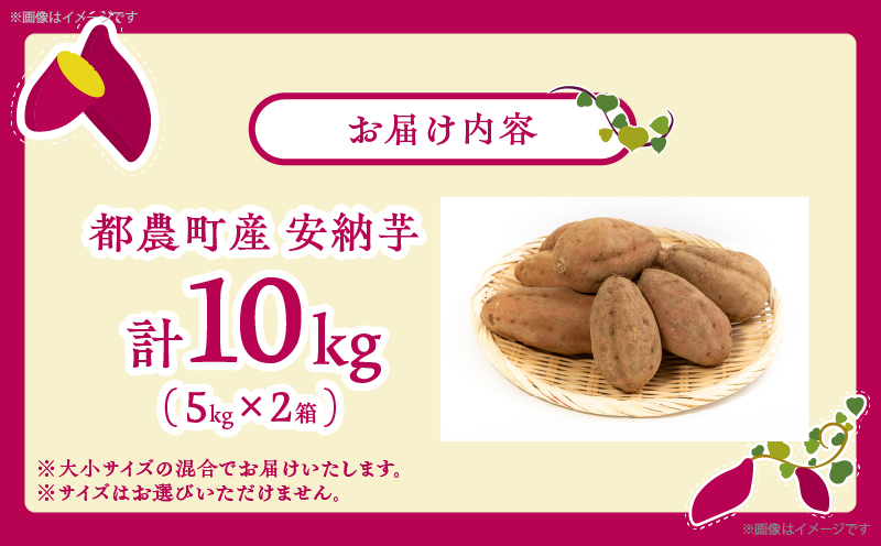 ≪期間限定≫都農町産安納芋(計10kg) 野菜 芋 イモ 国産_T016-002