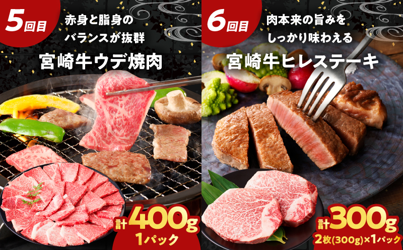 ≪6か月お楽しみ定期便≫宮崎牛食べ比べセット(総重量2.7kg) 肉 牛 牛肉 おかず 国産_T030-063