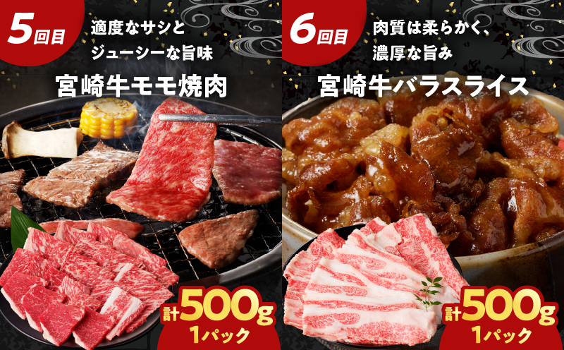 ≪6か月お楽しみ定期便≫宮崎牛味わい尽くしセット(総重量3.4kg) 肉 牛 牛肉 おかず 国産_T030-065