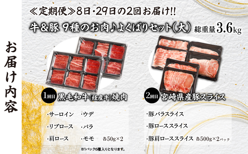 ≪定期便≫＼1か月に2回お届け!!／牛＆豚!!９種のお肉よくばりセット(大)【総重量3.6kg】 肉 牛 牛肉 おかず 国産_T030-038