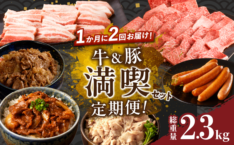 ≪定期便≫＼1か月に2回お届け!!／牛＆豚!!満喫セット【総重量2.3kg】 肉 牛肉 豚肉 おかず 国産_T030-052