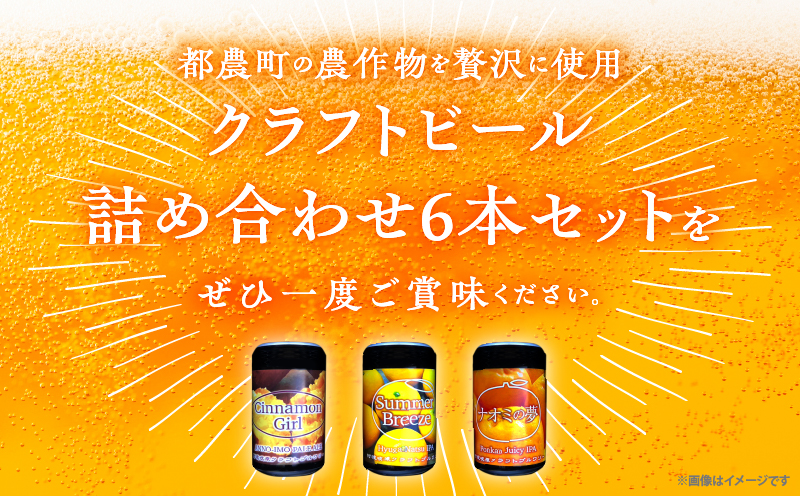 都農クラフトビール詰め合わせ6本セット 酒 アルコール 飲料 国産_T016-003 