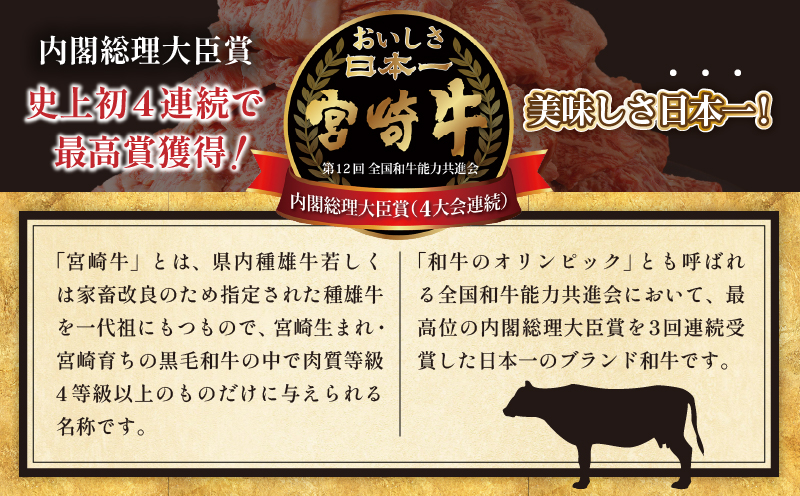 「宮崎牛肩(ウデ)すき焼き用」計500g 肉 牛 牛肉 おかず 国産_T009-014