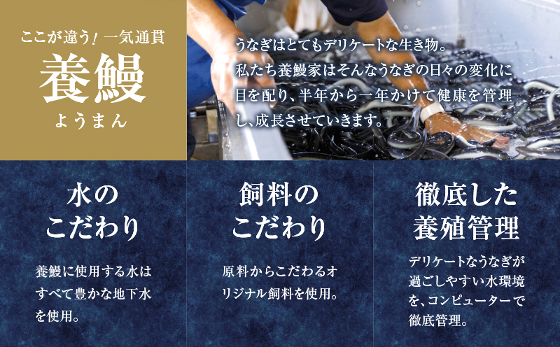 ≪定期便全3回≫4月・5月・6月お届け!!うなぎ蒲焼 特大2尾 (総重量1.14kg以上) 鰻 魚 魚介 加工品 国産_T026-007