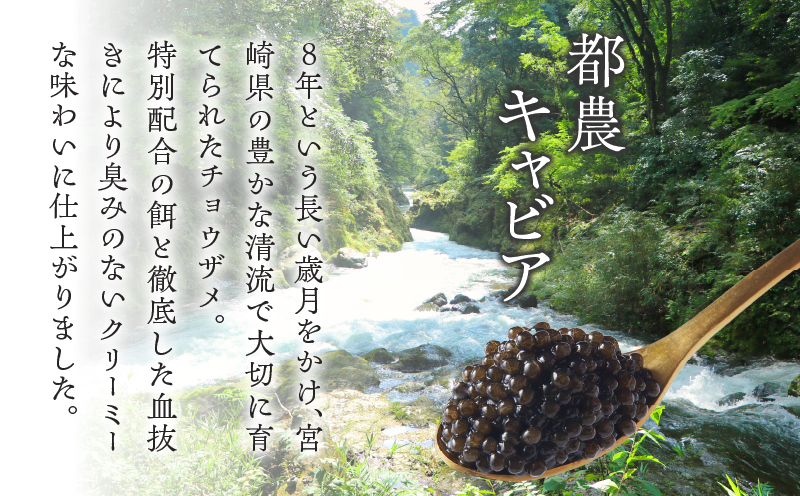 【2週間以内発送】都農キャビア(計20g) 魚 魚介 魚卵 国産_T047-0021