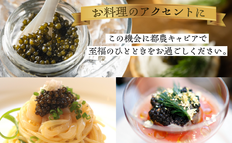 【2週間以内発送】都農キャビア(計20g) 魚 魚介 魚卵 国産_T047-0021
