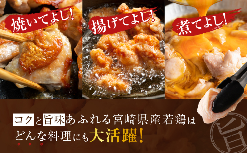 《隔月3回定期便》宮崎県産若鶏もも肉切身(総重量9kg) 肉 鶏 鶏肉 国産_T017-0091