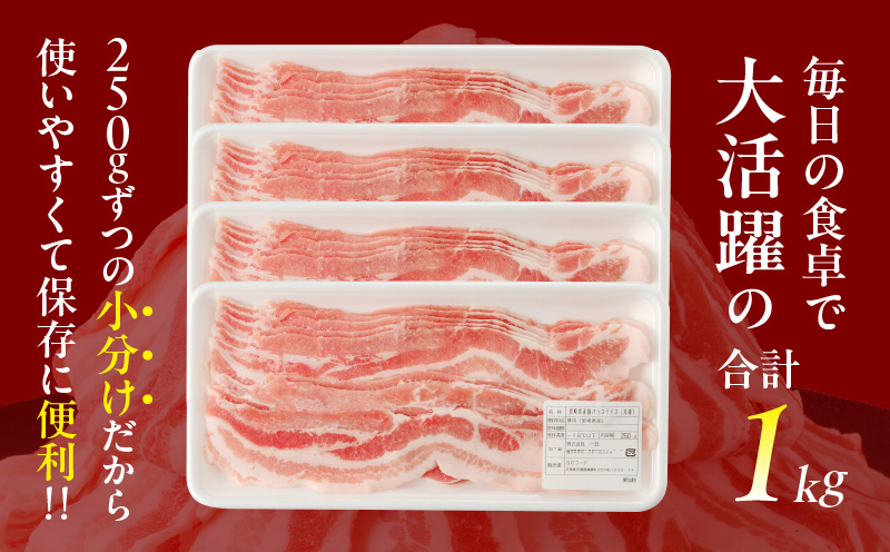 宮崎県産豚バラスライス計1kg 肉 豚 豚肉 おかず 国産_T009-0113