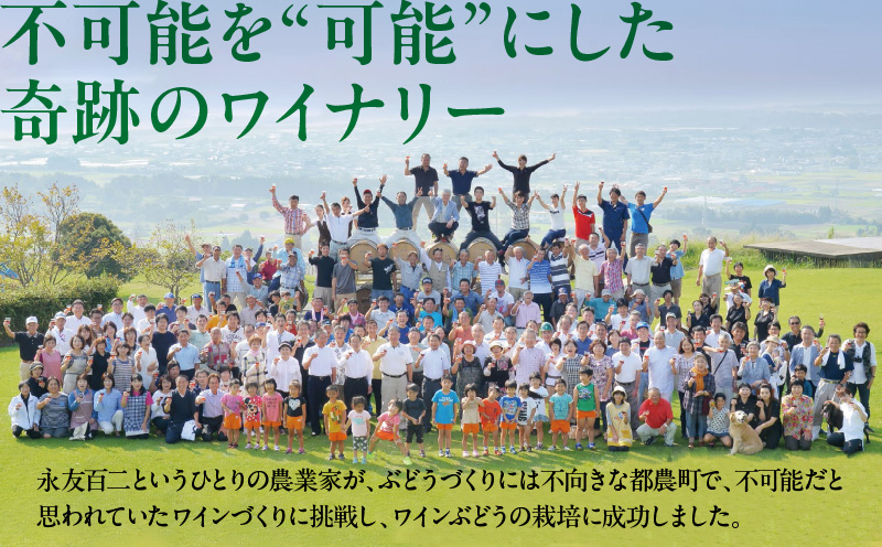 ＼年内発送!!／【数量限定】白水アンフィルタードシャルドネ(計1本) 酒 飲料 アルコール 国産_T014-028-N