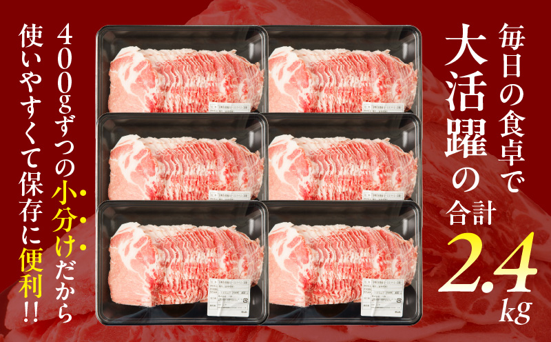 å®®åŽçç£è±è©ããŒã¹ã¹ã©ã€ã¹èš2.4kg è è± è±è ããã åœç£_T009-0083