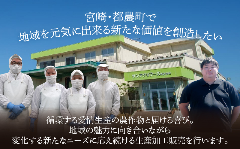 宮崎県産豚ロース肉の西京漬け 計560g 肉 豚 豚肉 おかず 国産_T025-0465