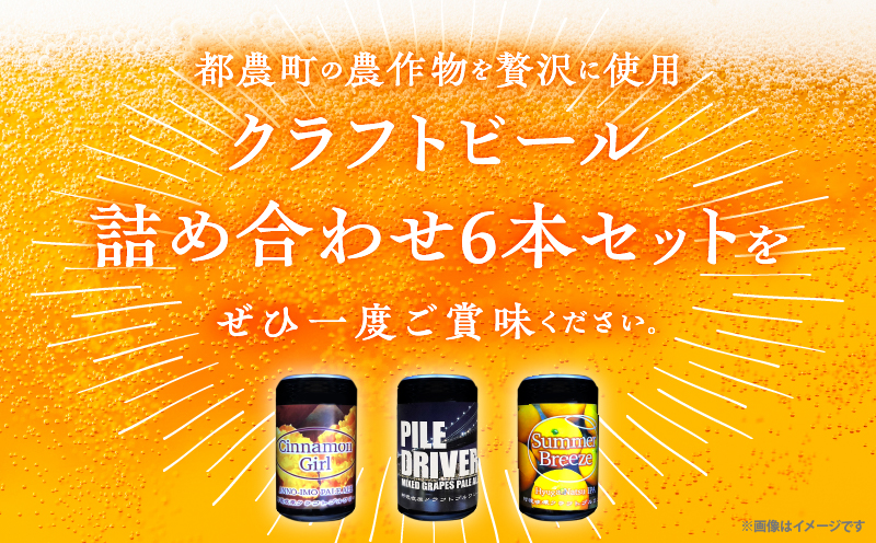 【2週間以内発送】都農クラフトビール詰め合わせ6本セット 酒 アルコール 飲料 国産_T016-0035