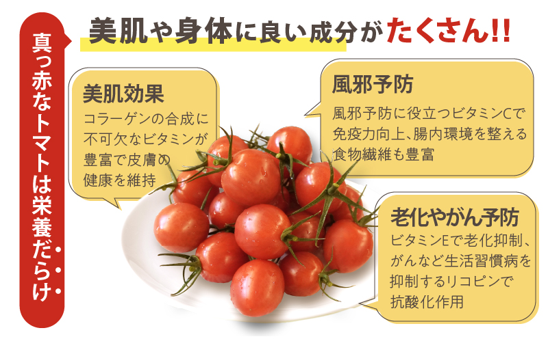 å
è¡äºçŽâªæééå®â«ãªãªãžãã«ãã©ã³ãããã«ãŒãããã ãããèš2kg ããããã éè ãµã©ã åœç£_T047-0041