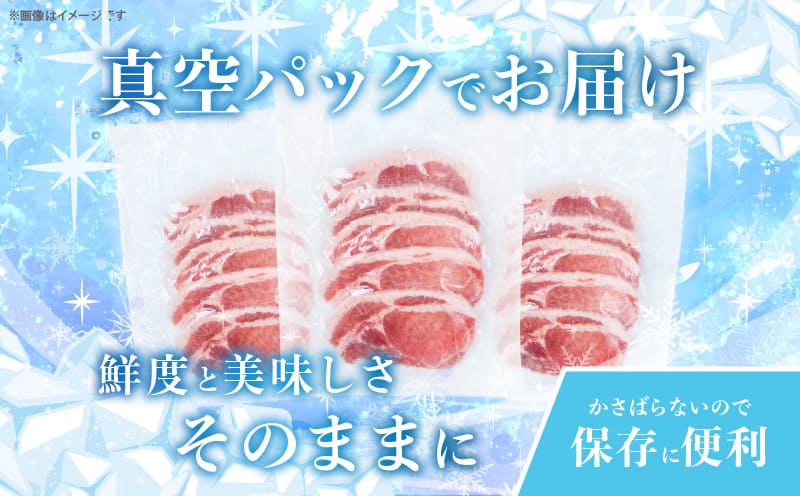 ≪宮崎ブランドポーク≫ロース(トンテキ・とんかつ用)計1kg 肉 豚 豚肉 国産_T023-0115