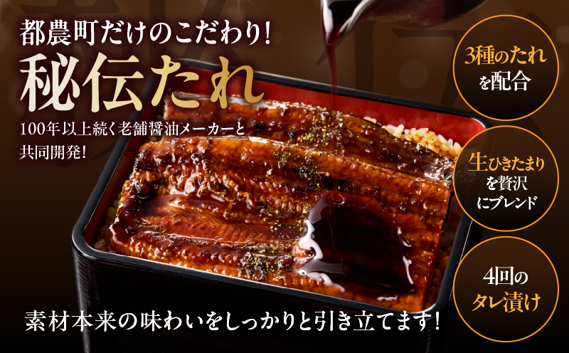 うなぎ蒲焼3尾(さんしょう・たれ付き)計450g以上 鰻 魚 魚介 加工品 国産_T026-014