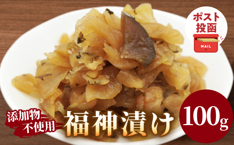 ＼ポスト投函／福神漬け100g おかず 漬物 野菜 加工品 国産_T037-0111