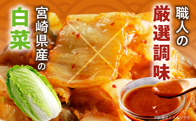 çœèãã ã èš1è¢ (1kg) æŒ¬ç© ããã éè å å·¥å åœç£_T025-0405
