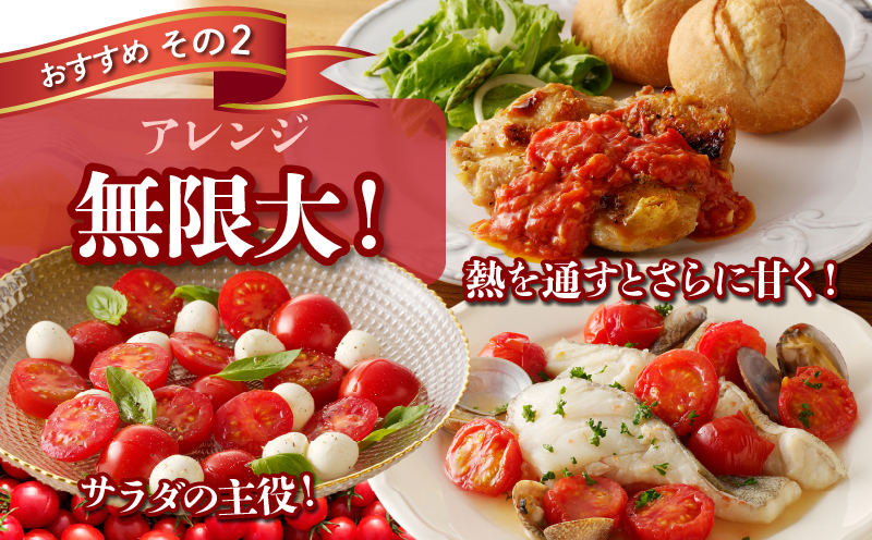 ≪期間限定≫高糖度ミニトマト『ニーゴ25。』(計1.6kg) ミニトマト 野菜 サラダ 国産_T040-0021