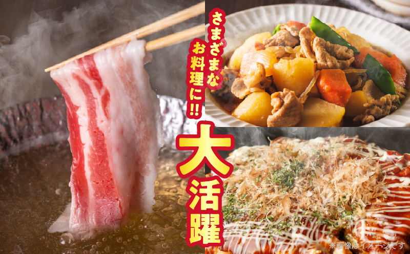 宮崎県産豚バラしゃぶしゃぶ（計1.5kg）肉 豚 豚肉 おかず 国産_T025-043
