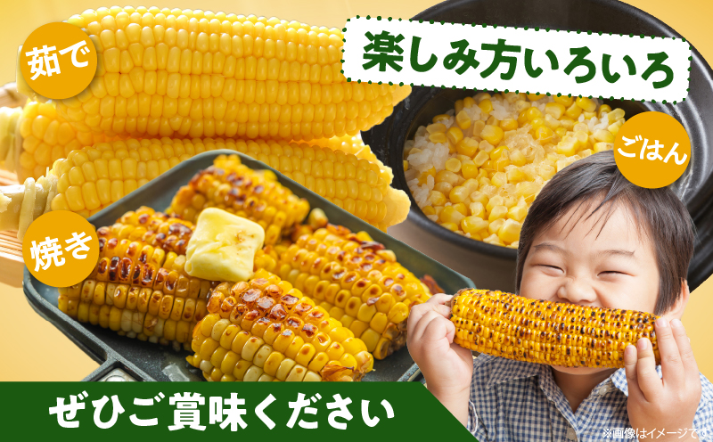 先行予約≪期間限定≫みやざきフレッシュスイートコーン(約4.5kg) とうもろこし 野菜 旬 おやつ 国産_T015-0045