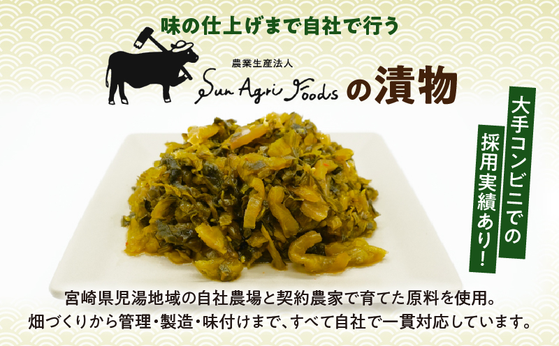 ＼ポスト投函／白菜古漬け（昆布味） 計1袋 (100g) 漬物 おかず 野菜 加工品 国産_T025-0235