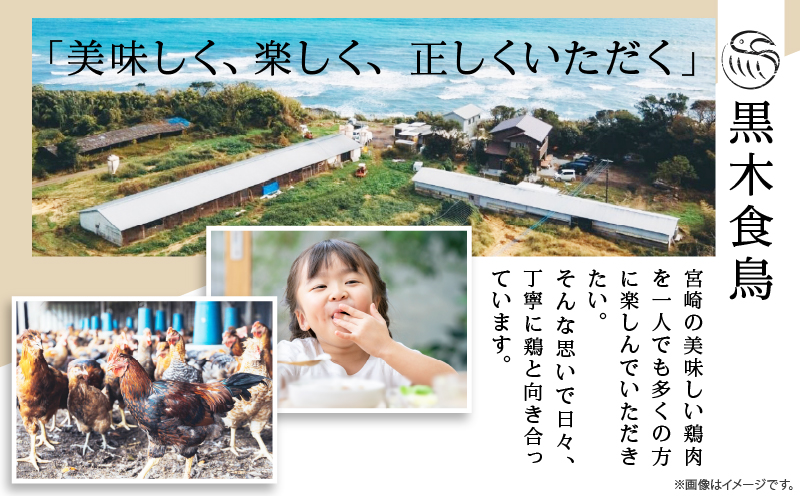 生産者応援！【期間・数量限定特別規格】《隔月3回定期便》宮崎県産若鶏炭火焼(総重量6.3kg) 肉 鶏肉 加工品 国産_T017-0111-ZO