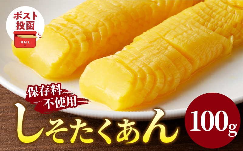 ＼ポスト投函／しそたくあん100g 漬物 おかず 野菜 加工品 国産_T037-0031