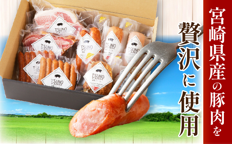 都農ファーム厳選「ウインナー・ハム9点セット」合計1.7kg以上 肉 豚 豚肉 おかず 国産_T020-0021