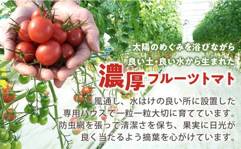 å
è¡äºçŽâªæééå®â«ãªãªãžãã«ãã©ã³ãããã«ãŒãããã ãããèš2kg ããããã éè ãµã©ã åœç£_T047-0041