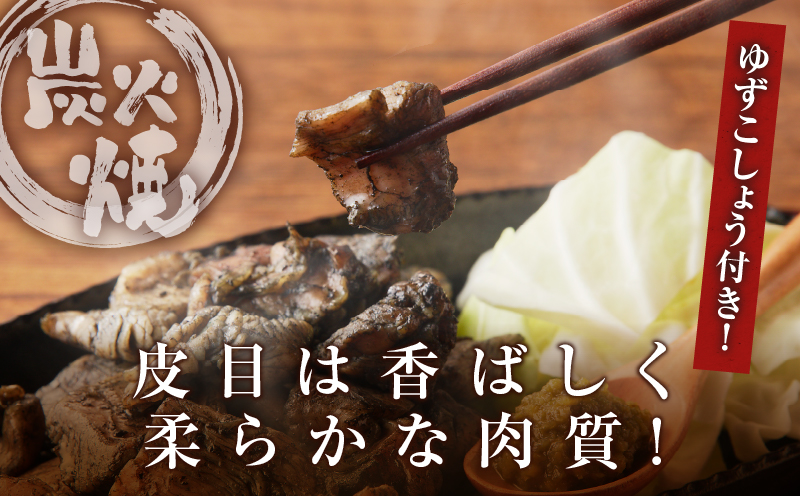 みやざき郷土料理セット(合計2.2kg以上) 肉 鶏 鶏肉 鍋 国産_T017-0045