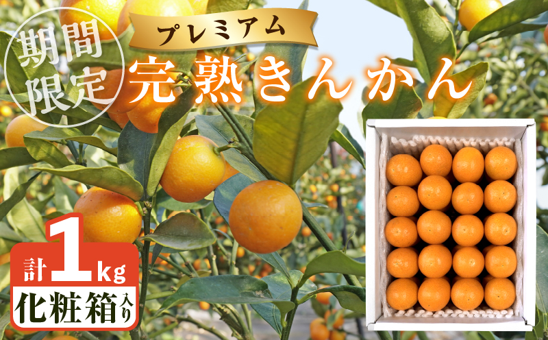 先行予約≪数量限定≫完熟きんかんプレミアム(計1kg) 化粧箱入り フルーツ 果物 柑橘 国産_T042-0011