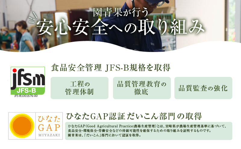 【2週間以内発送】≪宮崎県産≫切干大根(紅芯大根-そのでこ-)計10袋 野菜 加工品 国産_T003-011