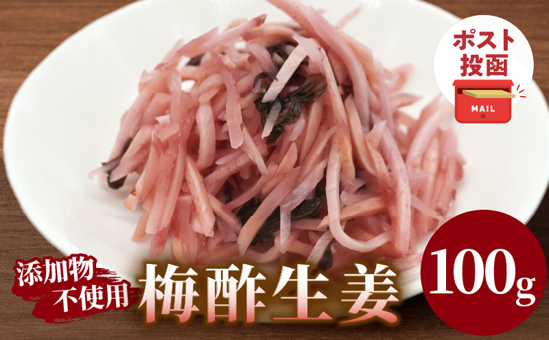 ＼ポスト投函／梅酢生姜100g おかず 漬物 野菜 加工品 国産_T037-0101