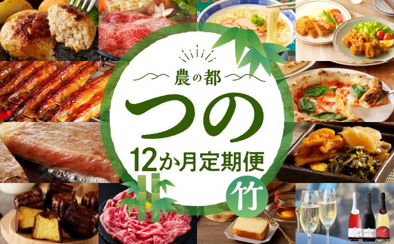 ≪12か月お楽しみ定期便≫都農町定期便(竹) 肉 加工品 デザート 国産_T999-0093